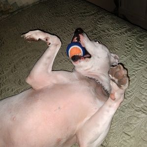 Meet your Posher, Stacey